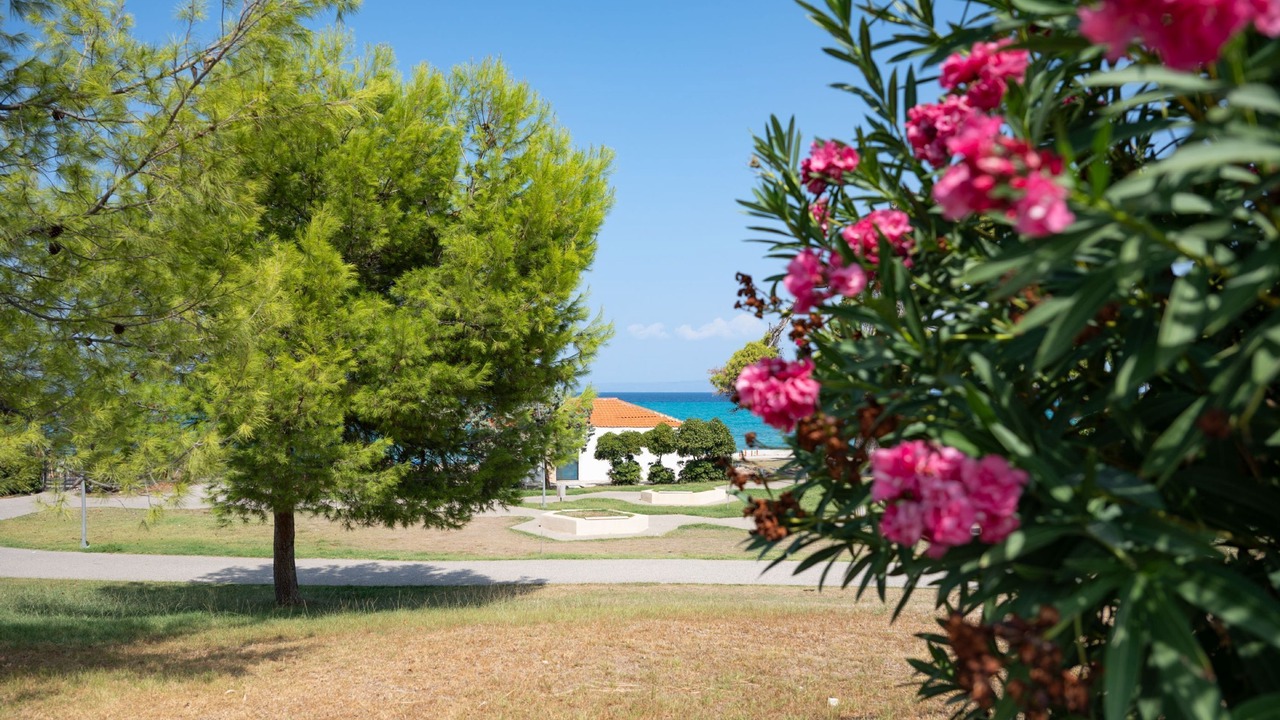 Photo of Outdoor in Nea Propontida