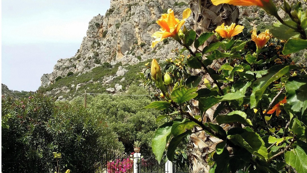 Photo of Outdoor in Kantanos-Selino
