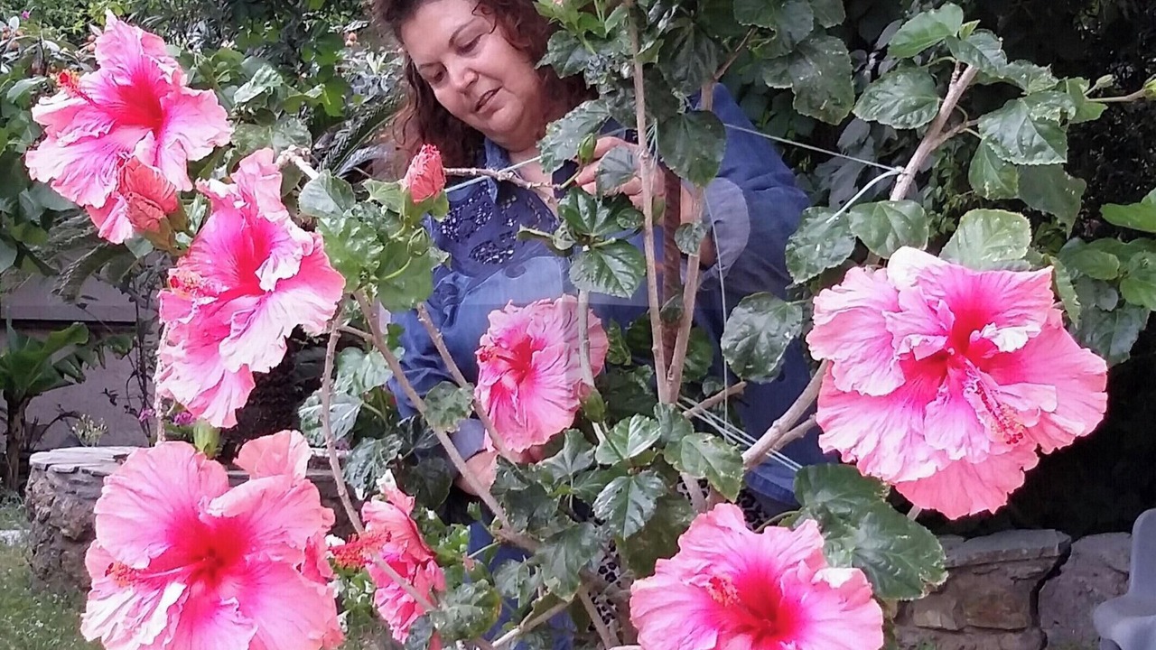 Photo of Others in Kantanos-Selino