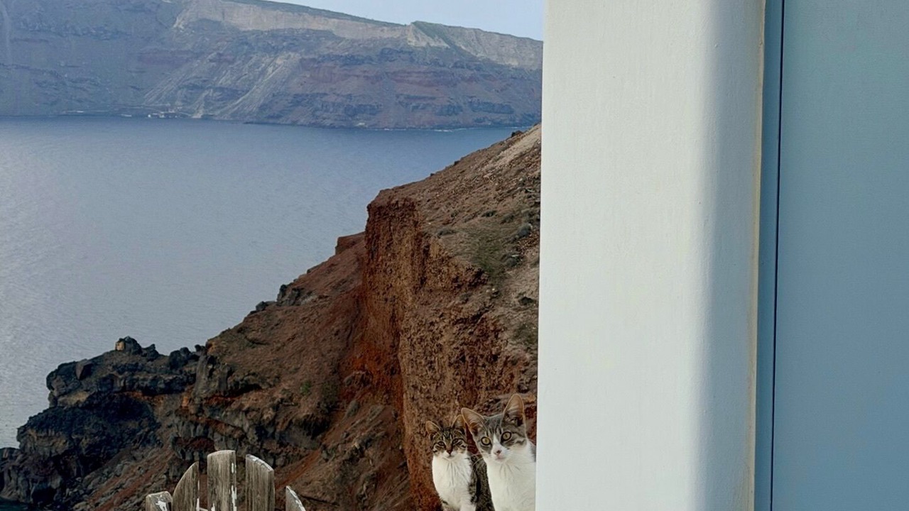 Photo of Outdoor in Oia