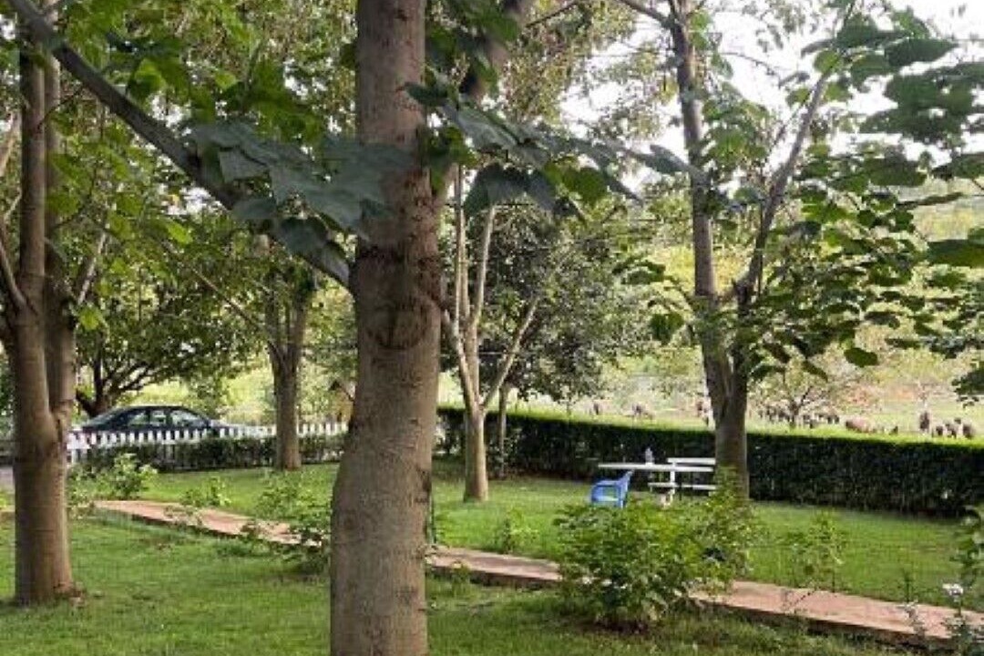 Photo of Outdoor in Librazhd