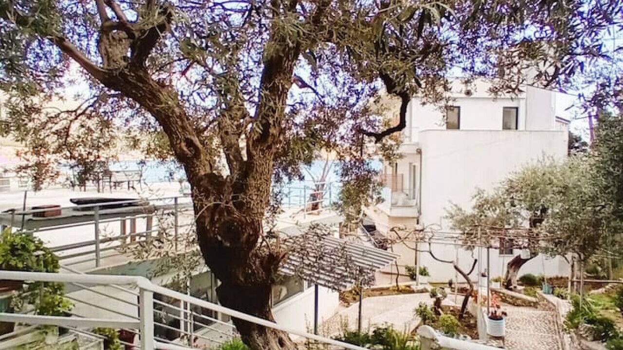 Photo of Outdoor in Himare