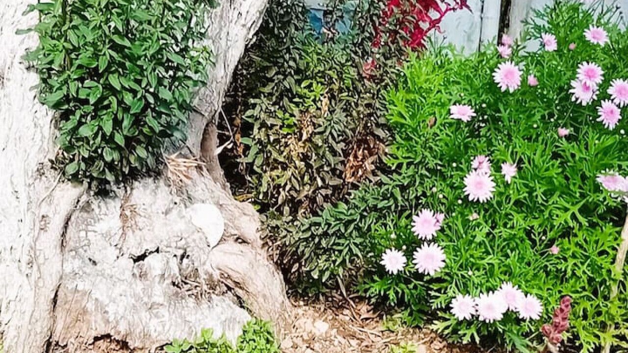 Photo of Outdoor in Himare