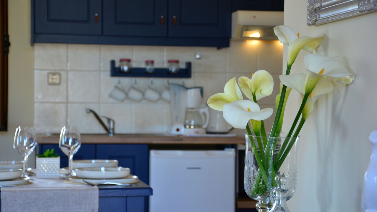 Photo of Kitchen in Vamos