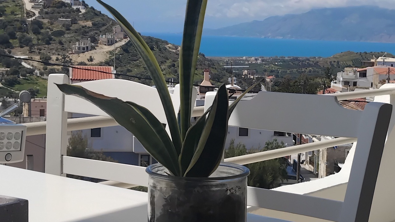 Photo of Outdoor in Kamilari