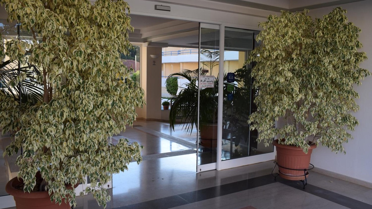 Photo of Outdoor in Mytikas