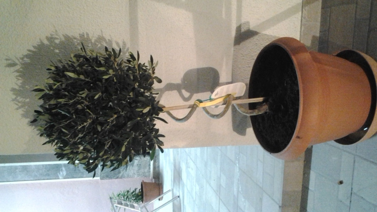 Photo of Outdoor in Chios Town