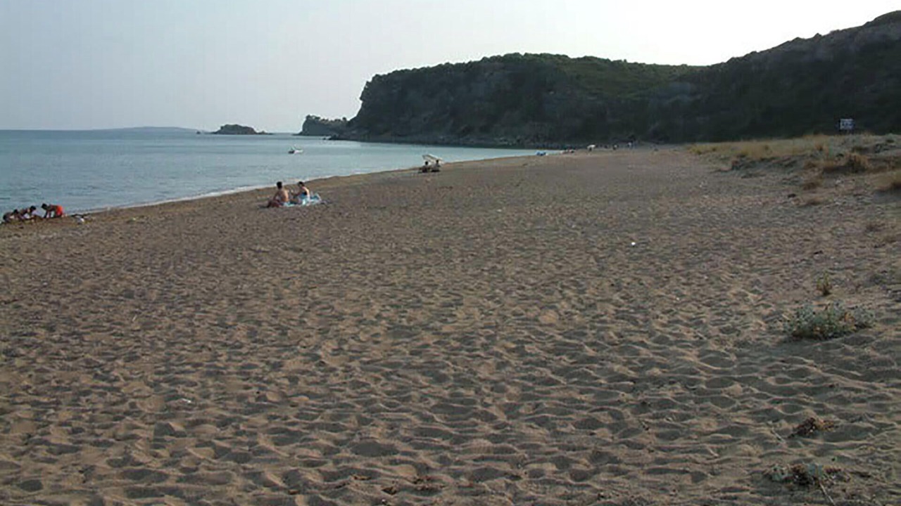 Photo of Others in Diasella