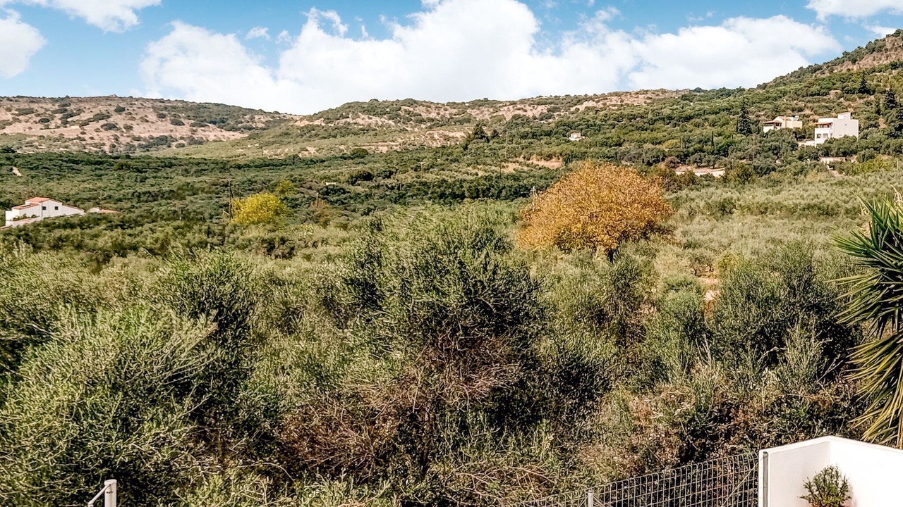 Photo of Others in Apokoronas
