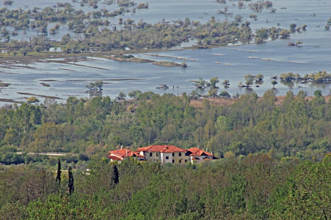 Photo of Others in Sintiki