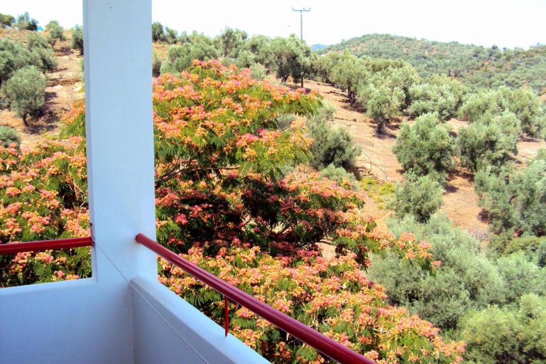 Photo of Others in Plomari
