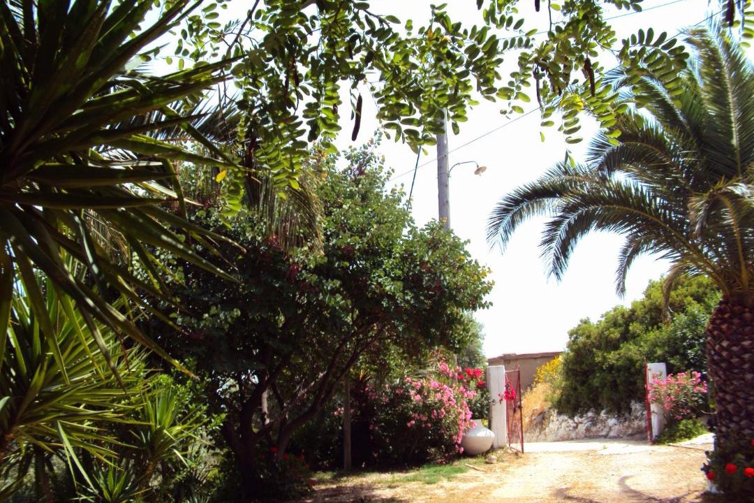 Photo of Others in Plomari