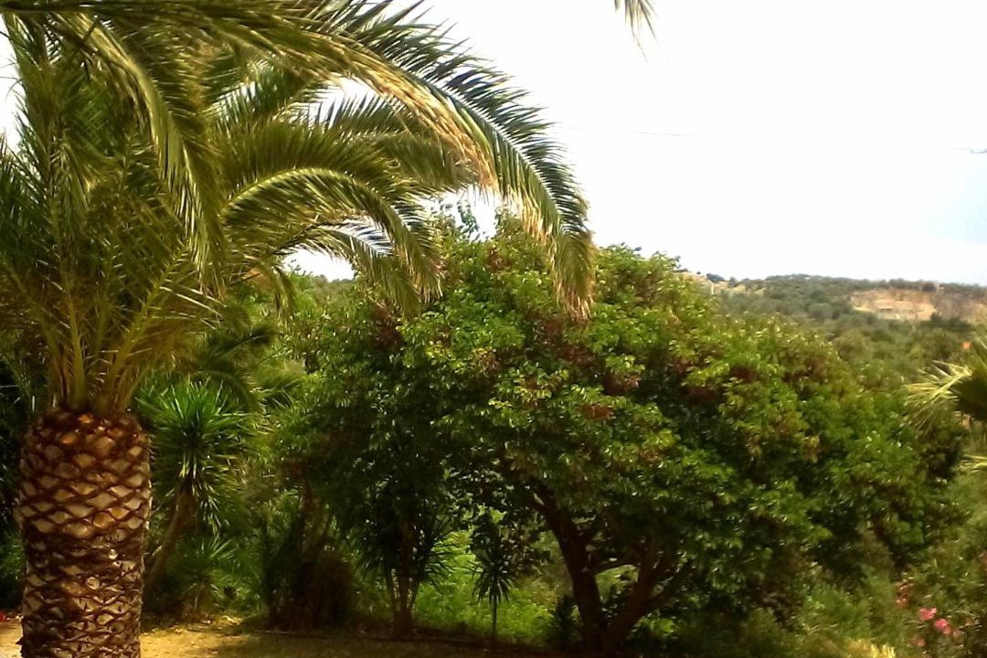 Photo of Others in Plomari