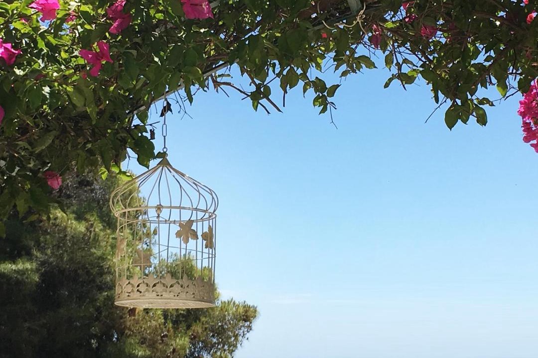 Photo of Others in Agia Marina