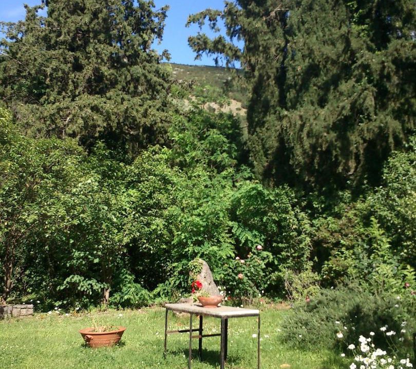 Photo of Others in Polidrosos