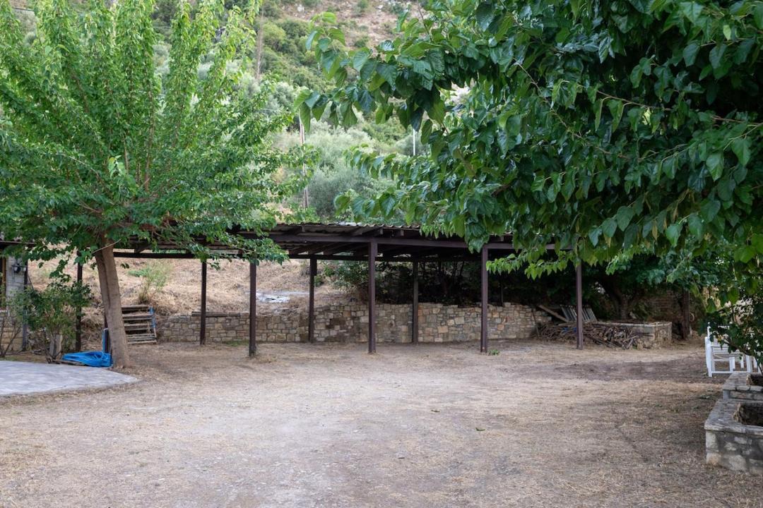 Photo of Others in Grigoris
