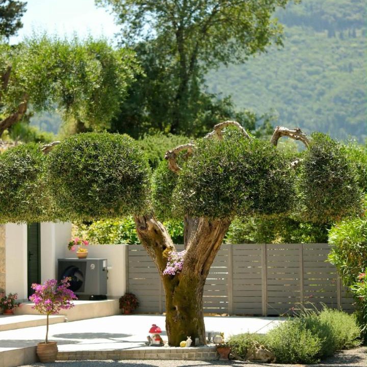 Photo of Others in Achilleio