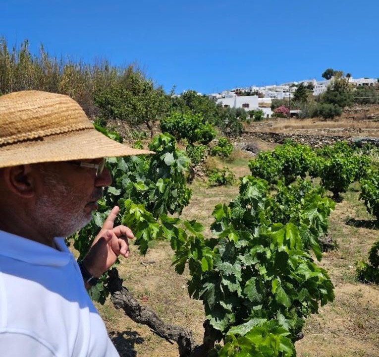 Photo of Others in Sifnos