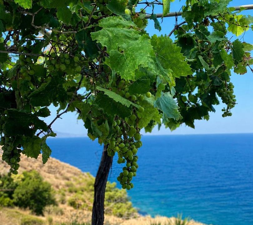 Photo of Others in Ermoupoli