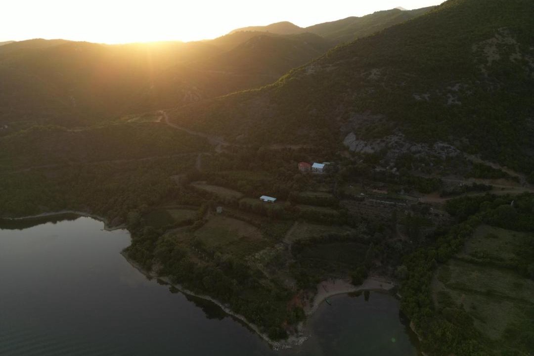 Photo of Others in Sakës