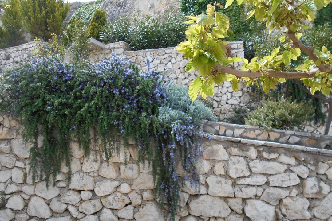 Photo of Others in Agios Nikitas