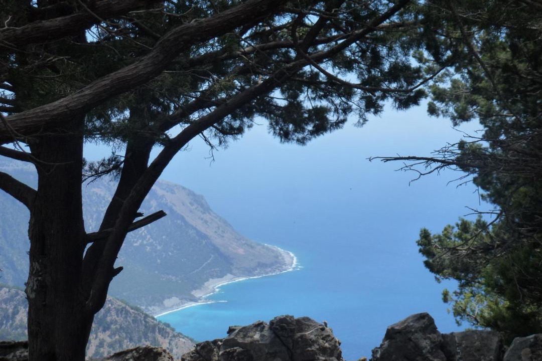 Photo of Others in Agia Roumeli