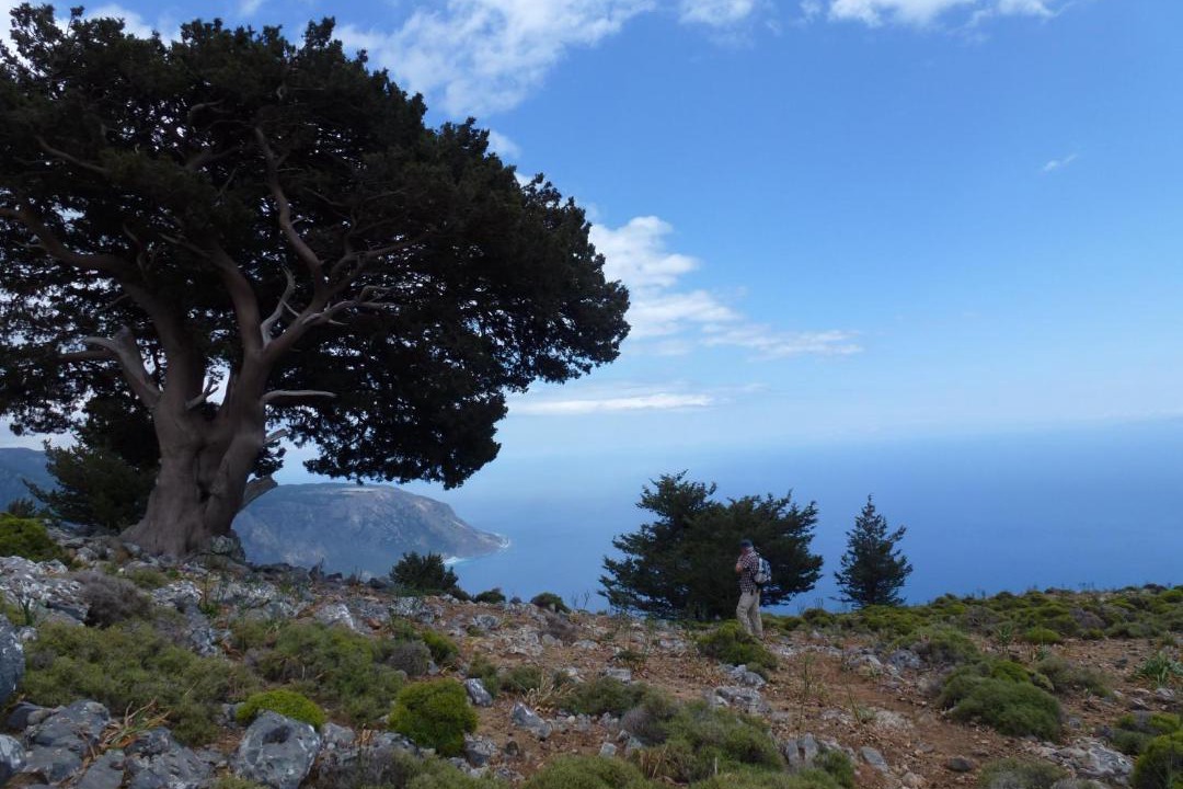 Photo of Others in Agia Roumeli
