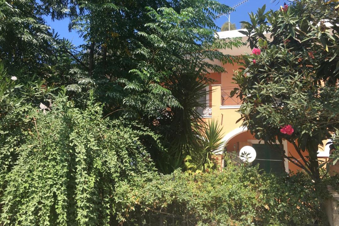 Photo of Others in Agios Stefanos Avliotes