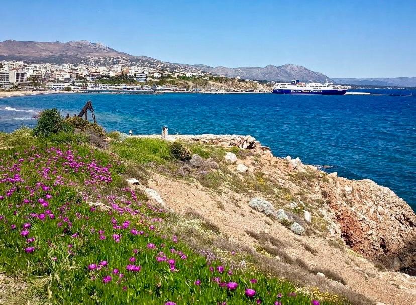 Photo of Others in Rafina-Pikermi