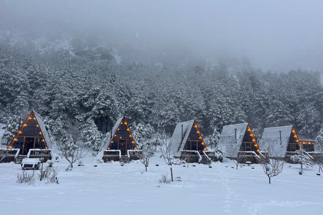 Photo of Others in Elbasan