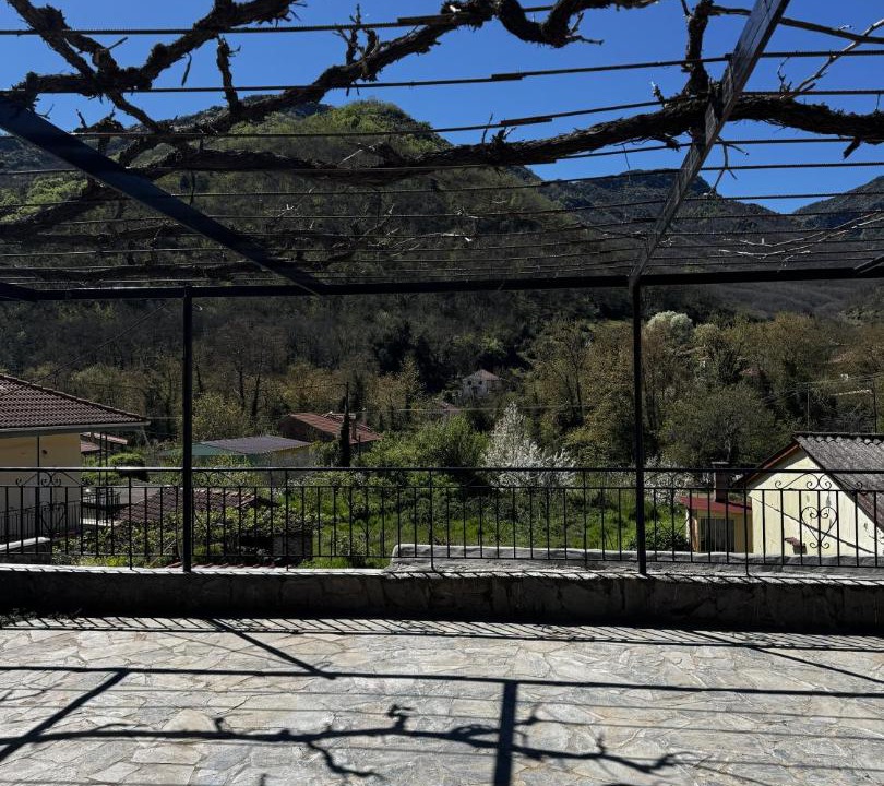 Photo of Others in Kertezi