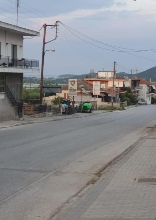 Photo of Others in Pangaio