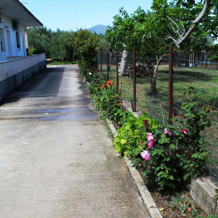 Photo of Others in Orikum