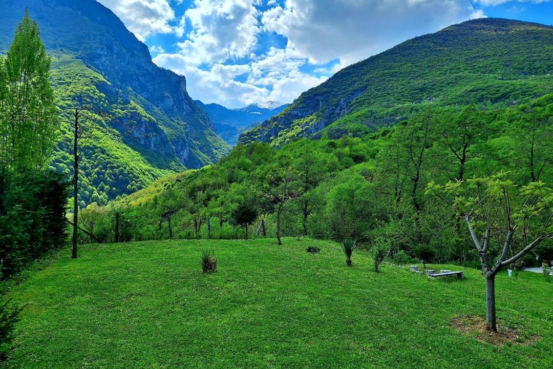 Photo of Others in Pejë