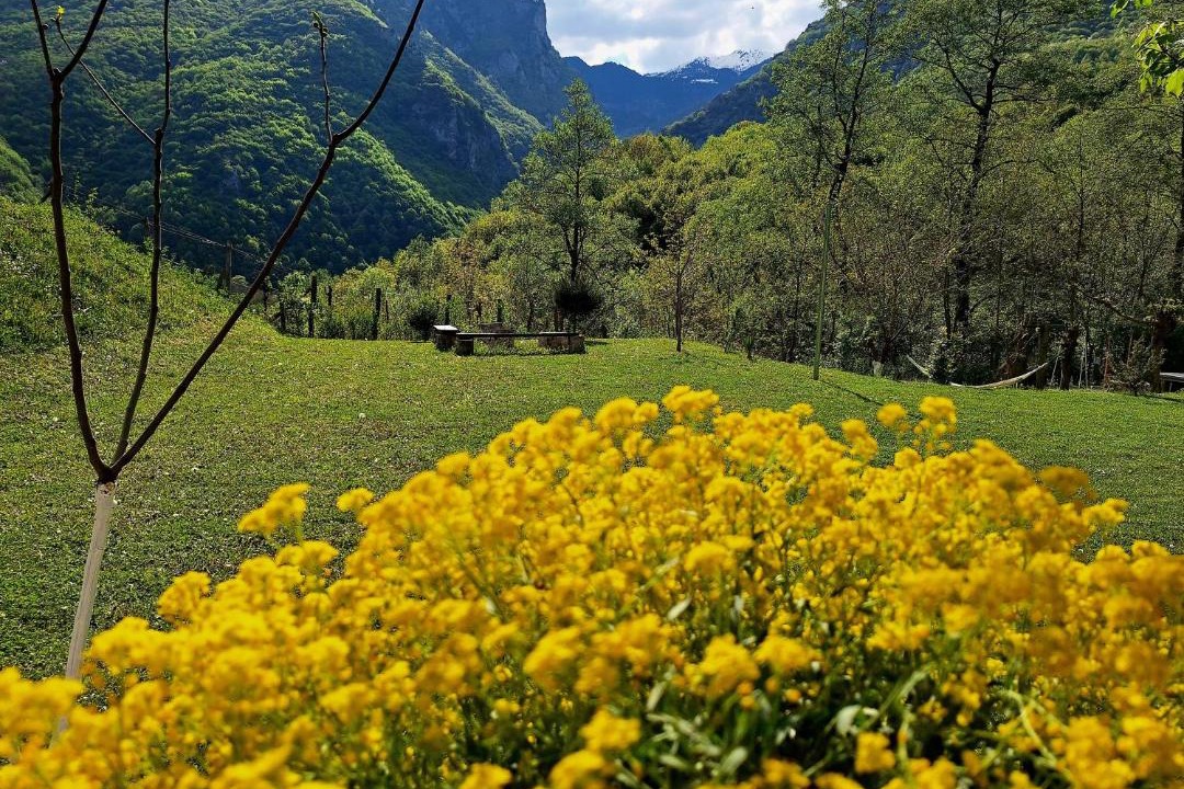 Photo of Others in Pejë