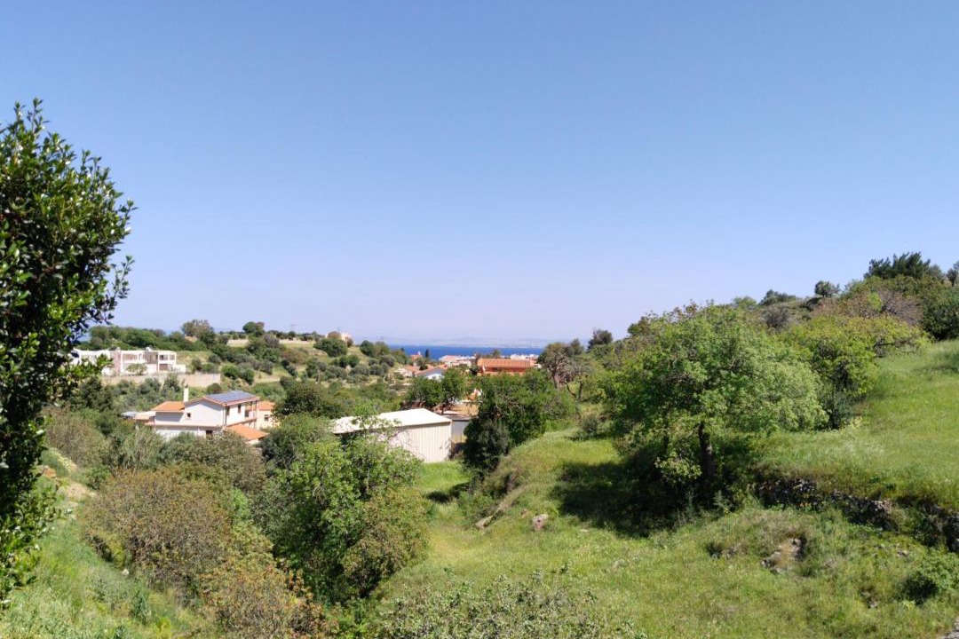 Photo of Others in Chios