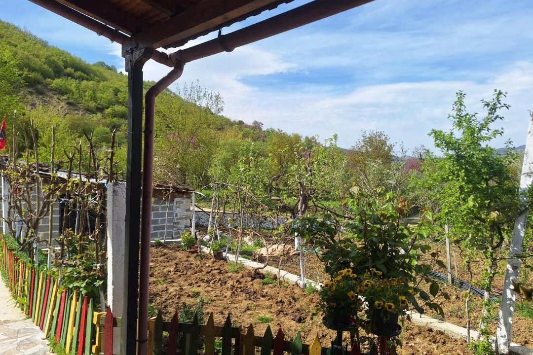Photo of Others in Sinje