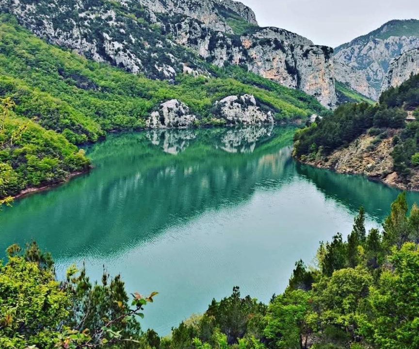 Photo of Others in Sakës