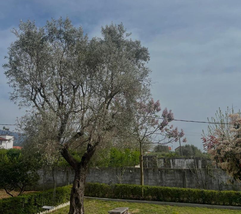 Photo of Others in Fushe-Kruje