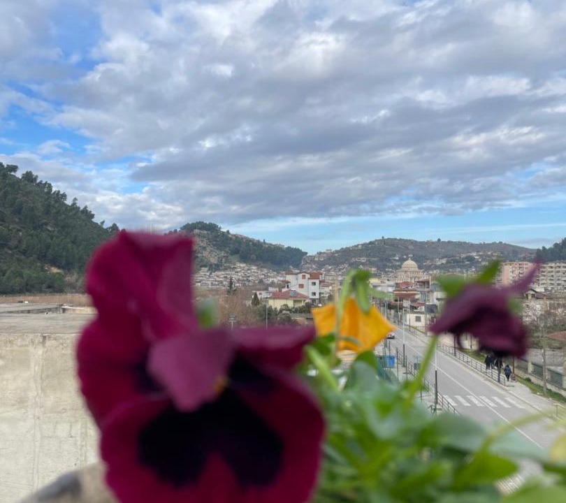 Photo of Others in Berat
