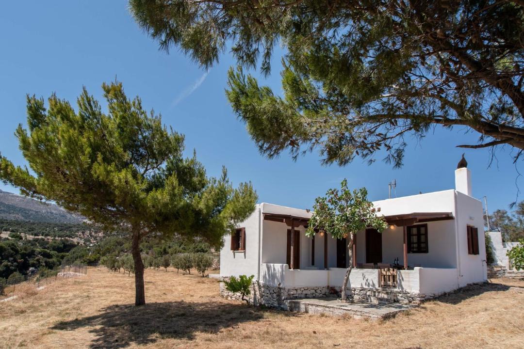 Photo of Others in Naxos