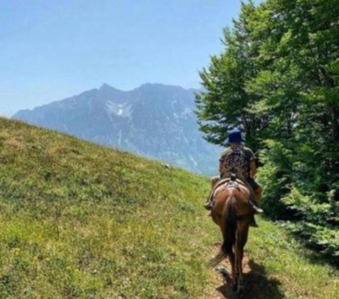 Photo of Others in Kukes County
