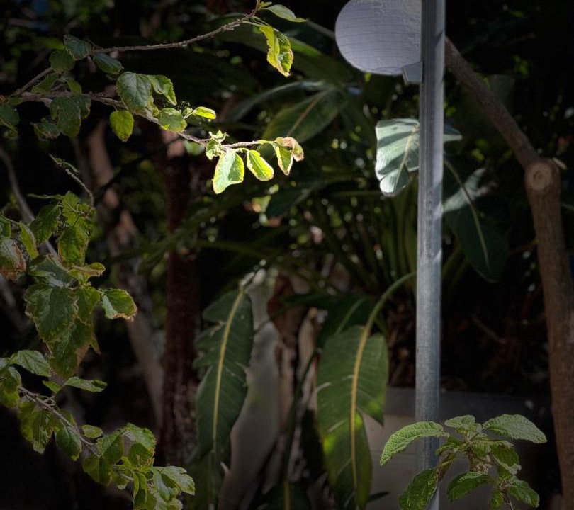 Photo of Outdoor in Agia Pelagia