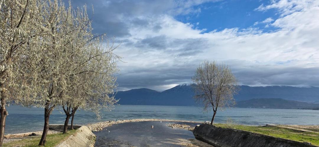 Photo of Others in Pogradec