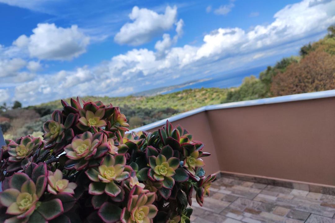 Photo of Others in Ionia