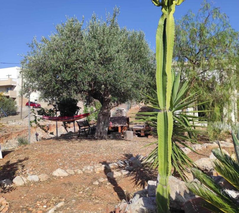 Photo of Others in Agios Nikolaos Town