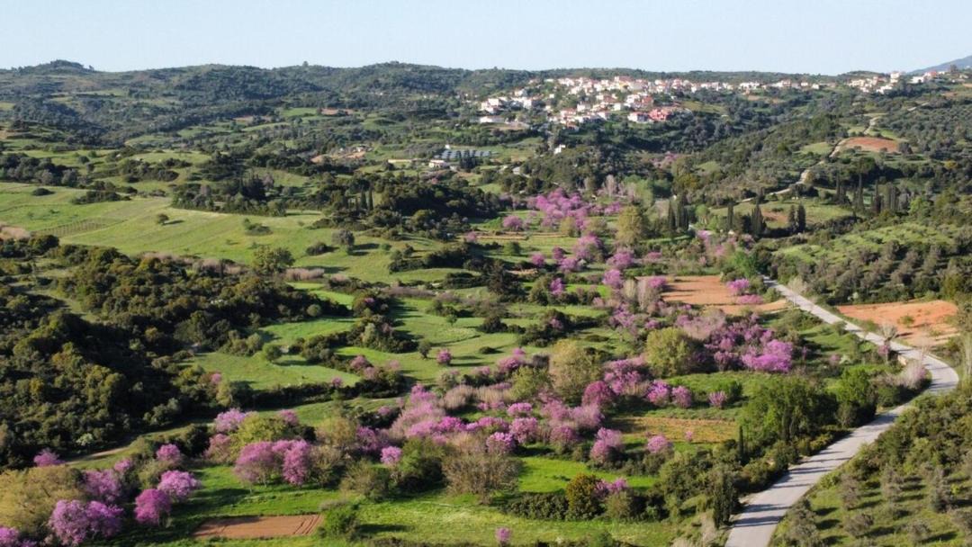 Photo of Others in Kymi-Aliveri
