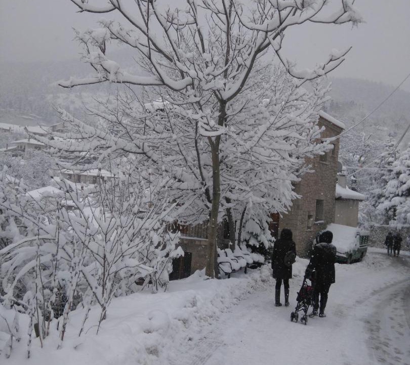 Photo of Others in Eptalofos