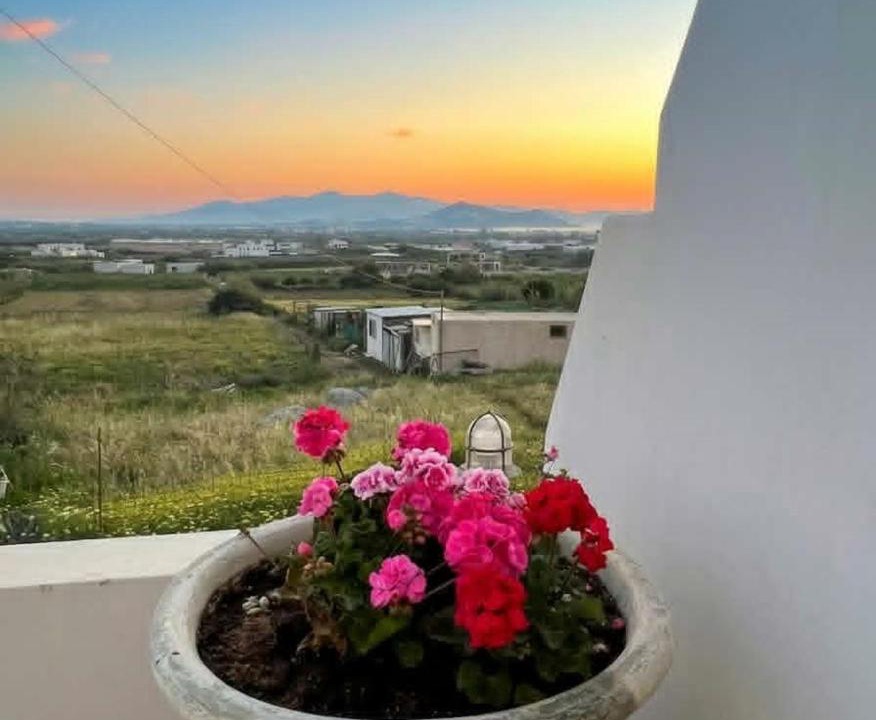 Photo of Others in Naxos