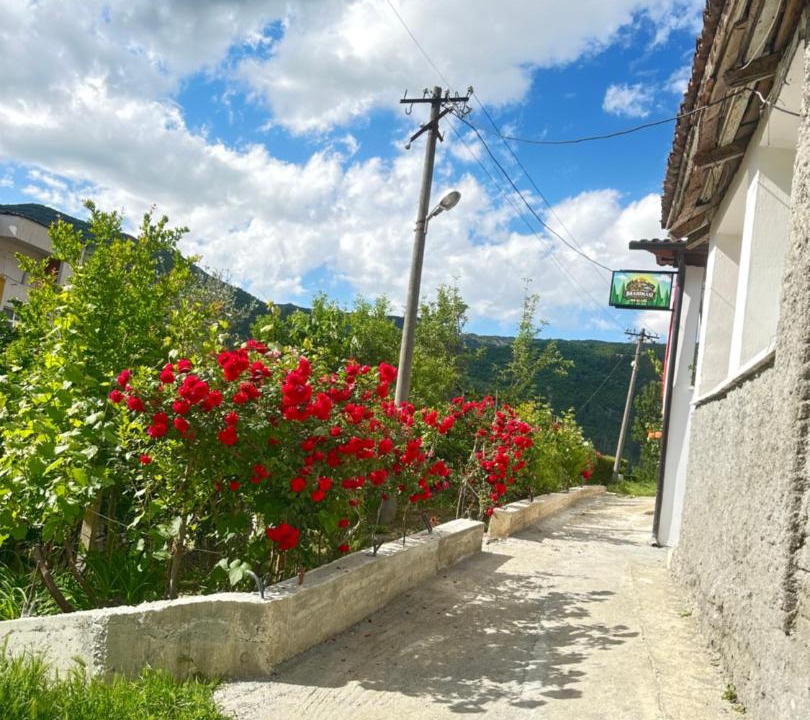 Photo of Others in Corovode